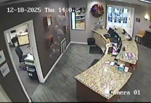 Caméra IP - United States of America