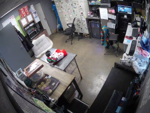 Caméra IP - Estados Unidos