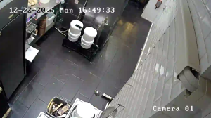 Caméra IP - Dinamarca