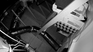 Caméra IP - United States of America