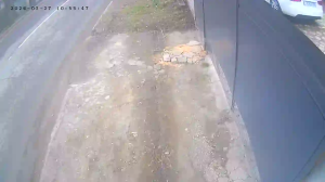 Caméra IP - Ucrania