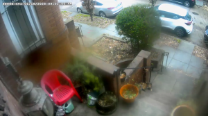 Caméra IP - États-Unis d'Amérique