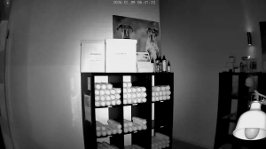 Caméra IP - Alemania