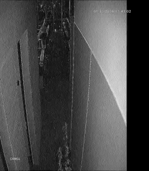 Caméra IP - Indonesia