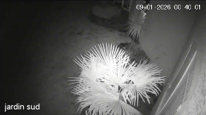 Caméra IP - Frankreich