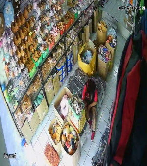 Caméra IP - Mexique