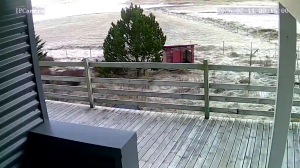 Caméra IP - Iceland