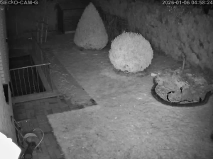 Caméra IP - Germany