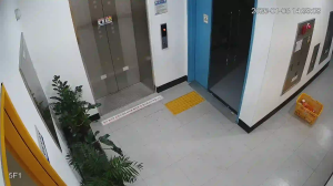 Caméra IP - Corée du Sud