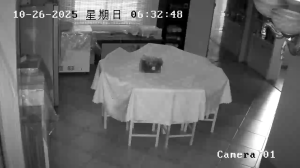 Caméra IP - Chine