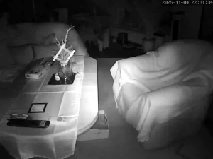 Caméra IP - Allemagne