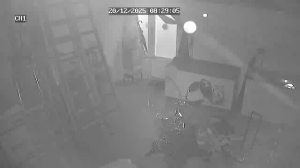 Caméra IP - Pays-Bas