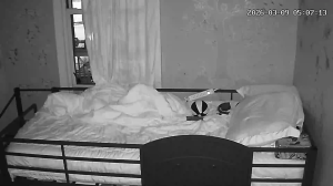 Caméra IP - United States of America