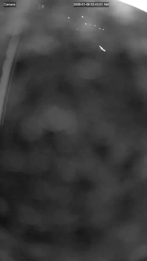 Caméra IP - Pays-Bas