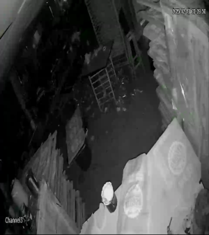 Caméra IP - Colombia