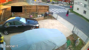 Caméra IP - États-Unis d'Amérique