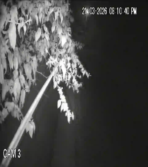 Caméra IP - Guatemala