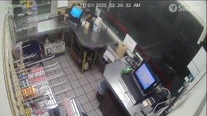 Caméra IP - Vereinigte Staaten von Amerika