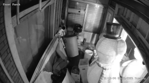 Caméra IP - Estados Unidos