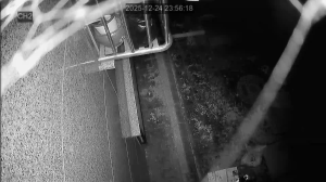 Caméra IP - South Korea