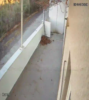 Caméra IP - Türkiye