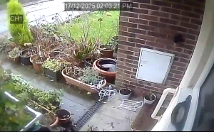 Caméra IP - Vereinigtes Königreich