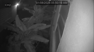 Caméra IP - Barbados