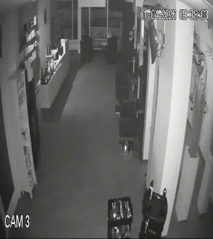 Caméra IP - Netherlands