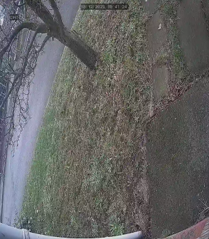 Caméra IP - United Kingdom