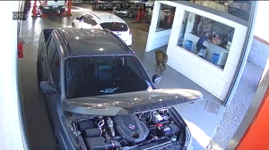 Caméra IP - Brasilien