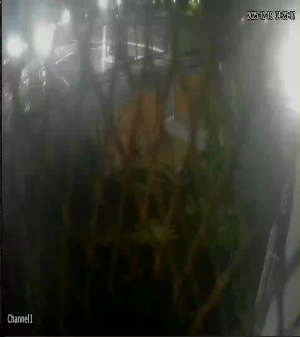 Caméra IP - Afrique du Sud