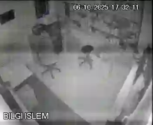 Caméra IP - Türkiye