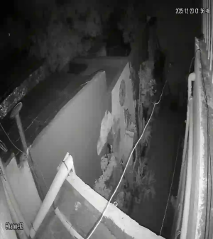 Caméra IP - Argentina