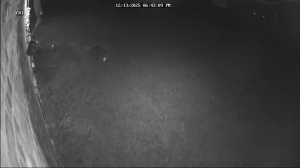 Caméra IP - États-Unis d'Amérique