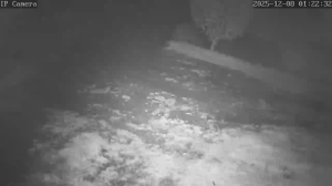 Caméra IP - Portugal