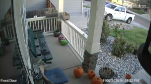 Caméra IP - United States of America