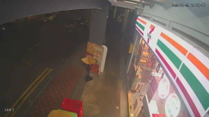 Caméra IP - Singapour