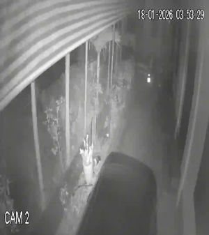 Caméra IP - Vietnam