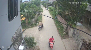 Caméra IP - Vietnam