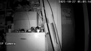 Caméra IP - Ukraine