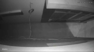 Caméra IP - Vietnam