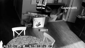 Caméra IP - États-Unis d'Amérique