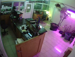 Caméra IP - United States of America