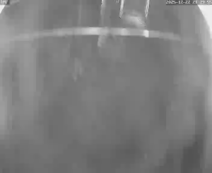 Caméra IP - Vietnam