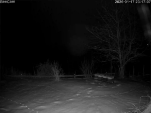 Caméra IP - Germany