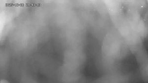 Caméra IP - Pologne