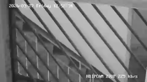 Caméra IP - Ucrania