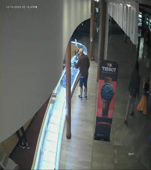 Caméra IP - Vereinigte Staaten von Amerika