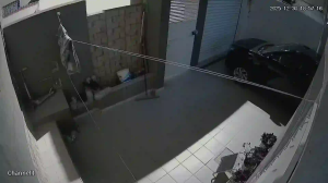 Caméra IP - Tunisia