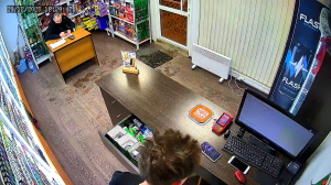 Caméra IP - Russian Federation